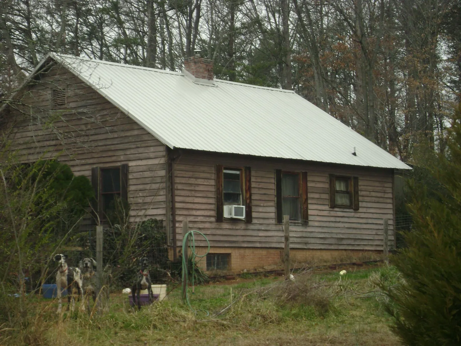 White metal roof on an old wood sided farmhouse, from a Asphalt Shingle Roof Repair job in Trimble